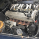Image for article titled At $22,500, Could This 1991 Mercedes Benz 300GD G-Wagon Have You Saying Gee Willikers?